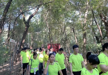 玩彩网·「中国区」官方网站